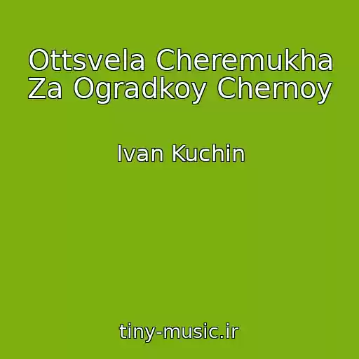کاور آهنگ Ottsvela Cheremukha Za Ogradkoy Chernoy از Ivan Kuchin