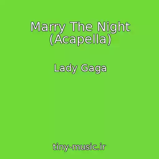کاور آهنگ Marry The Night (Acapella) از Lady Gaga