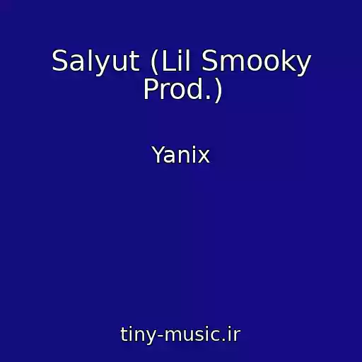 کاور آهنگ Salyut (Lil Smooky Prod.) از Yanix