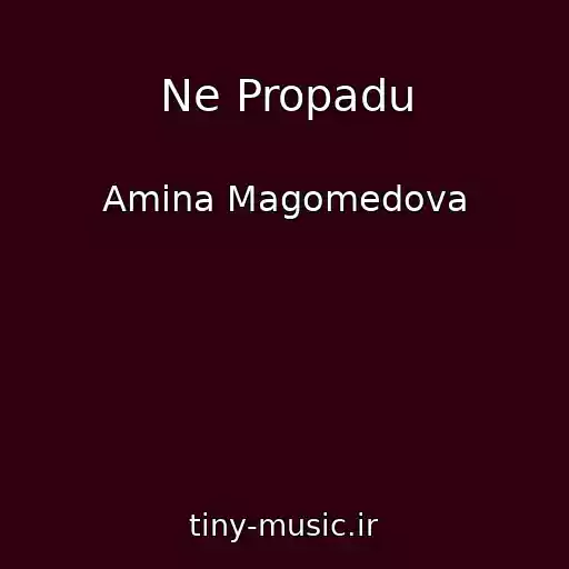 کاور آهنگ Ne Propadu از Amina Magomedova
