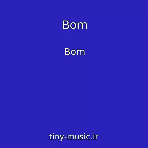 کاور آهنگ Bom از Bom
