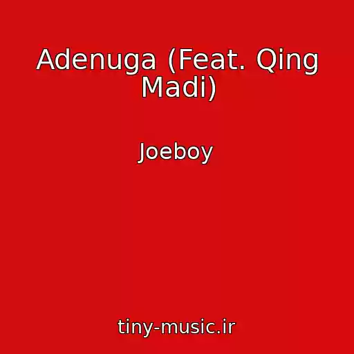 کاور آهنگ Adenuga (Feat. Qing Madi) از Joeboy