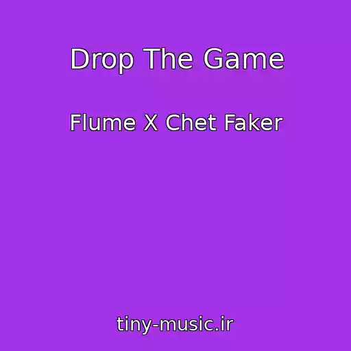 کاور آهنگ Drop The Game از Flume X Chet Faker