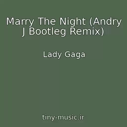 کاور آهنگ Marry The Night (Andry J Bootleg Remix) از Lady Gaga