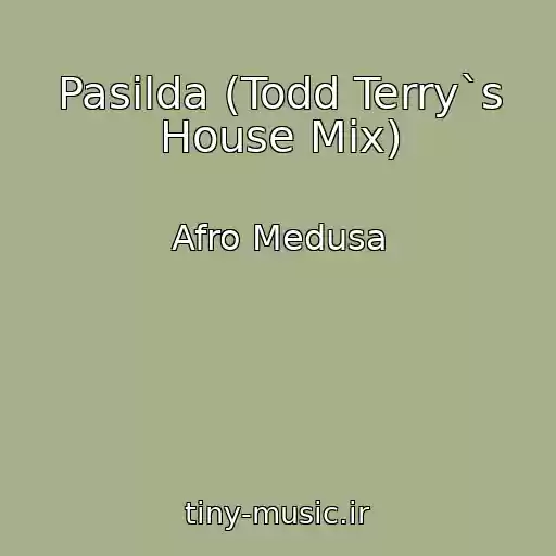 کاور آهنگ Pasilda (Todd Terry`s House Mix) از Afro Medusa