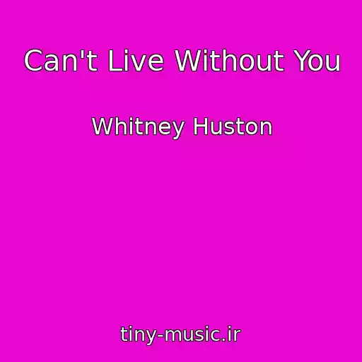 کاور آهنگ Can't Live Without You از Whitney Huston