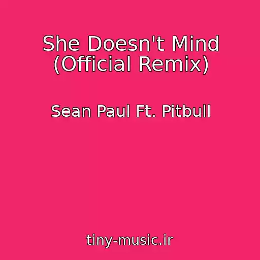 کاور آهنگ She Doesn't Mind (Official Remix) از Sean Paul Ft. Pitbull