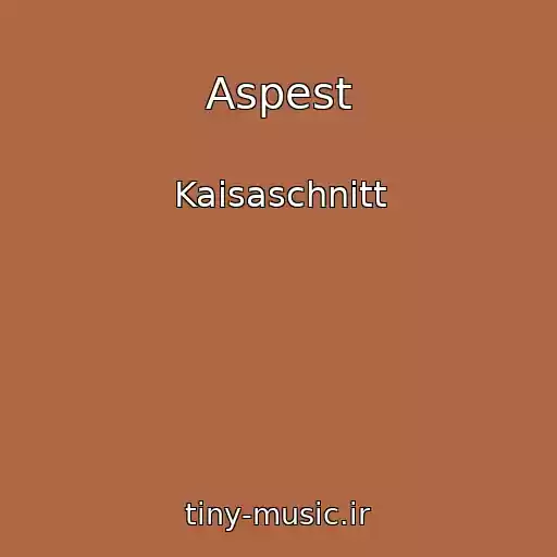 کاور آهنگ Aspest از Kaisaschnitt