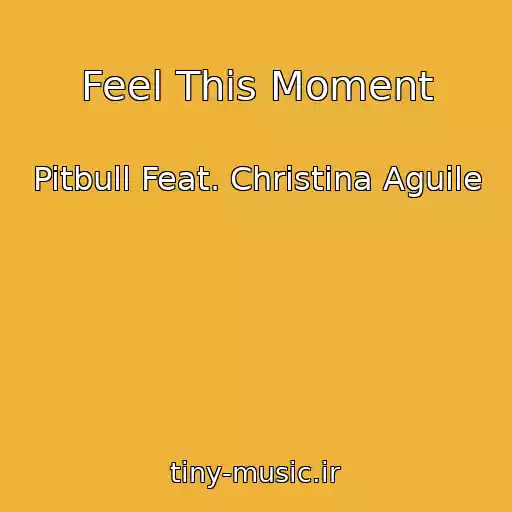 کاور آهنگ Feel This Moment از Pitbull Feat. Christina Aguile