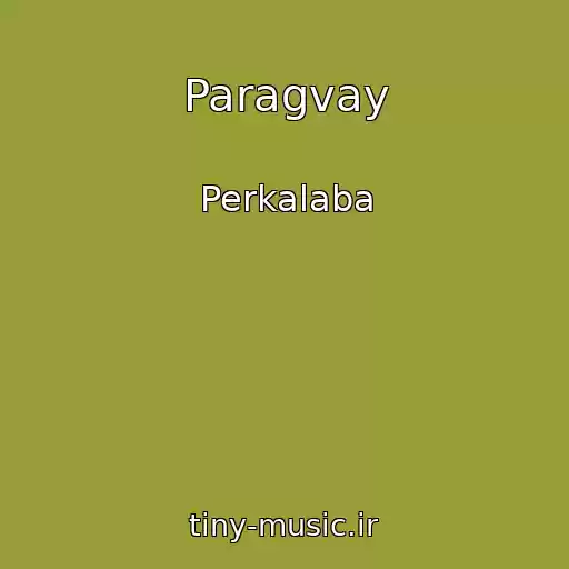 کاور آهنگ Paragvay از Perkalaba