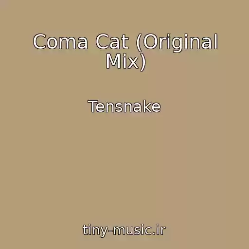 کاور آهنگ Coma Cat (Original Mix) از Tensnake