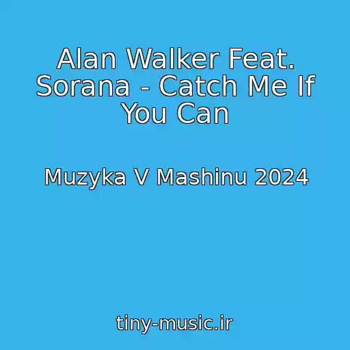 کاور آهنگ Alan Walker Feat. Sorana - Catch Me If You Can از Muzyka V Mashinu 2024