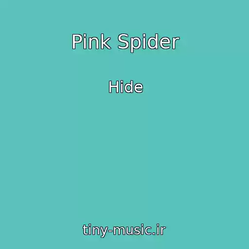 کاور آهنگ Pink Spider از Hide