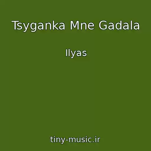 کاور آهنگ Tsyganka Mne Gadala از Ilyas