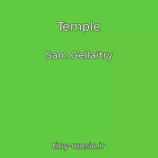 کاور آهنگ Temple از Sam Gellaitry