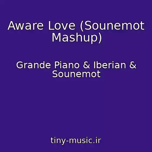 کاور آهنگ Aware Love (Sounemot Mashup) از Grande Piano & Iberian & Sounemot