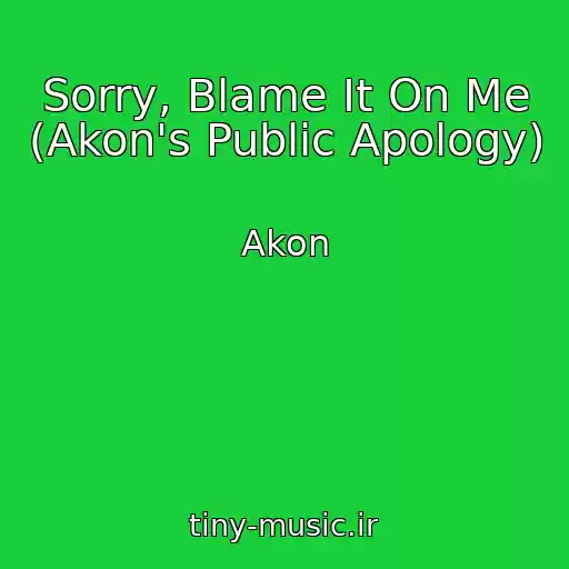 کاور آهنگ Sorry, Blame It On Me (Akon's Public Apology) از Akon