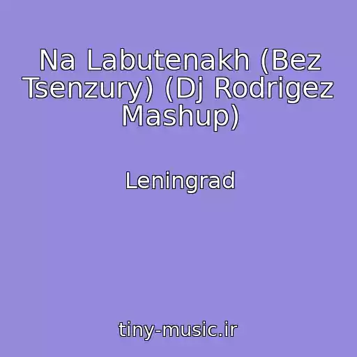 کاور آهنگ Na Labutenakh (Bez Tsenzury) (Dj Rodrigez Mashup) از Leningrad