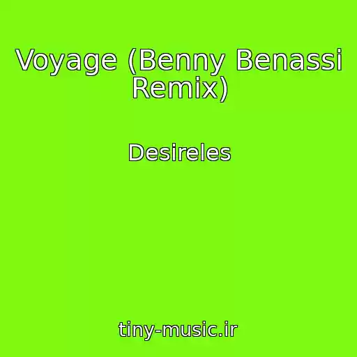 کاور آهنگ Voyage (Benny Benassi Remix) از Desireles