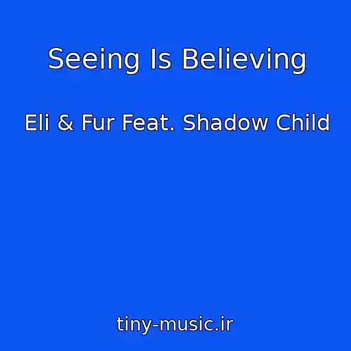 کاور آهنگ Seeing Is Believing از Eli & Fur Feat. Shadow Child