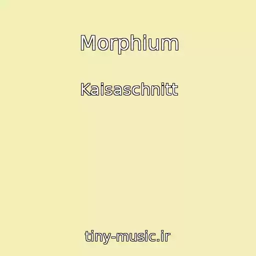 کاور آهنگ Morphium از Kaisaschnitt