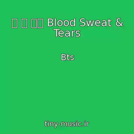 کاور آهنگ 피 땀 눈물 Blood Sweat & Tears از Bts