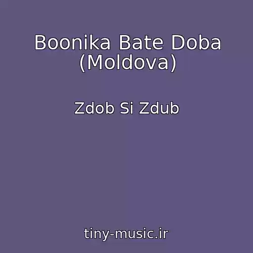 کاور آهنگ Boonika Bate Doba (Moldova) از Zdob Si Zdub