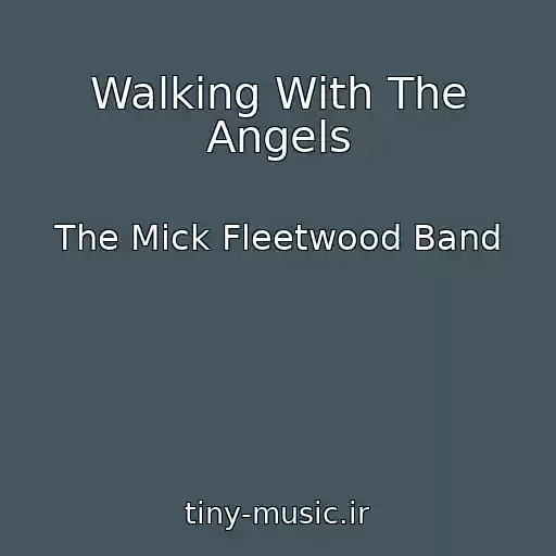 کاور آهنگ Walking With The Angels از The Mick Fleetwood Band