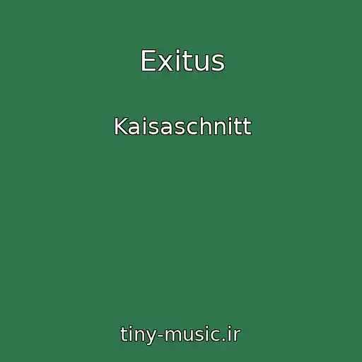 کاور آهنگ Exitus از Kaisaschnitt