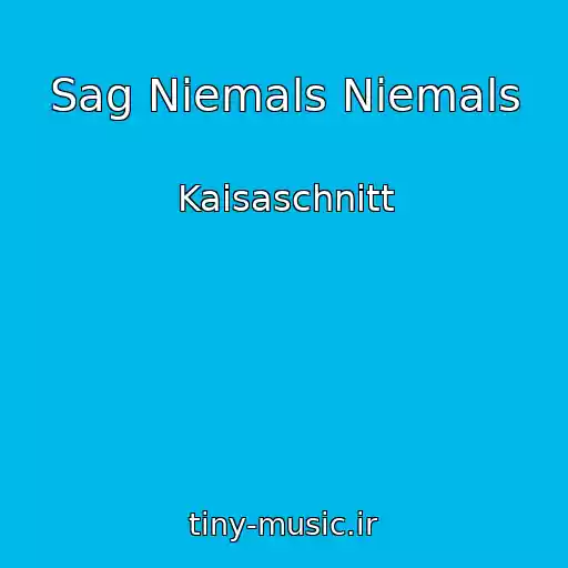 کاور آهنگ Sag Niemals Niemals از Kaisaschnitt
