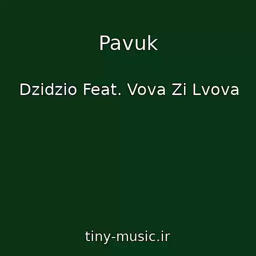 کاور آهنگ Pavuk از Dzidzio Feat. Vova Zі Lvova
