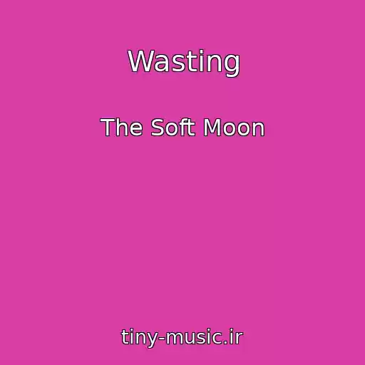 کاور آهنگ Wasting از The Soft Moon