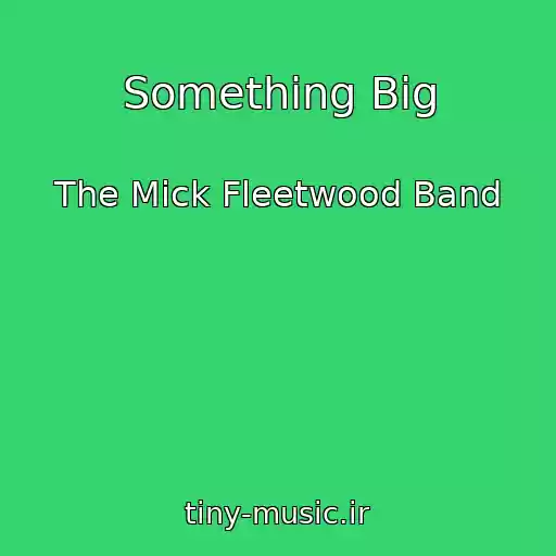 کاور آهنگ Something Big از The Mick Fleetwood Band