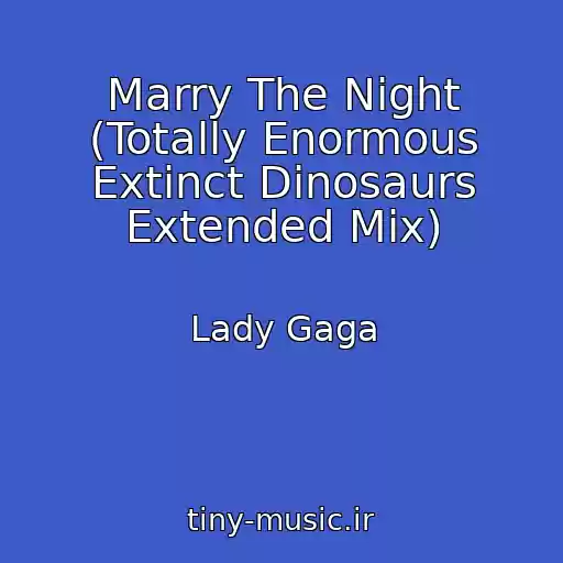 کاور آهنگ Marry The Night (Totally Enormous Extinct Dinosaurs Extended Mix) از Lady Gaga
