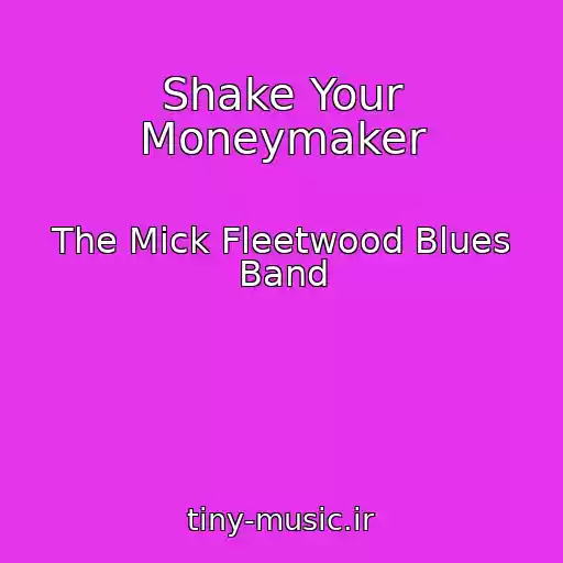 کاور آهنگ Shake Your Moneymaker از The Mick Fleetwood Blues Band