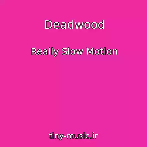 کاور آهنگ Deadwood از Really Slow Motion