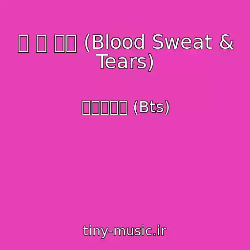 کاور آهنگ 피 땀 눈물 (Blood Sweat & Tears) از 방탄소년단 (Bts)