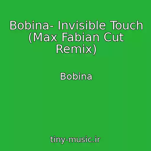 کاور آهنگ Bobina- Invisible Touch (Max Fabian Cut Remix) از Bobina