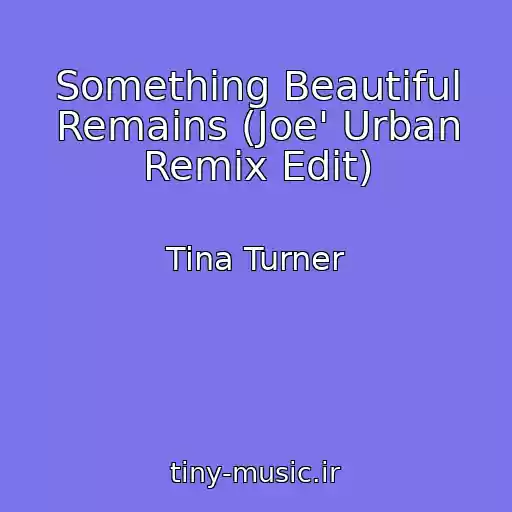 کاور آهنگ Something Beautiful Remains (Joe' Urban Remix Edit) از Tina Turner