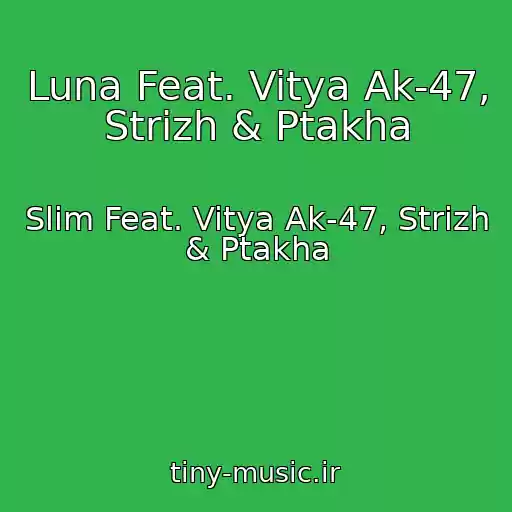 کاور آهنگ Luna Feat. Vitya Ak-47, Strizh & Ptakha از Slim Feat. Vitya Ak-47, Strizh & Ptakha