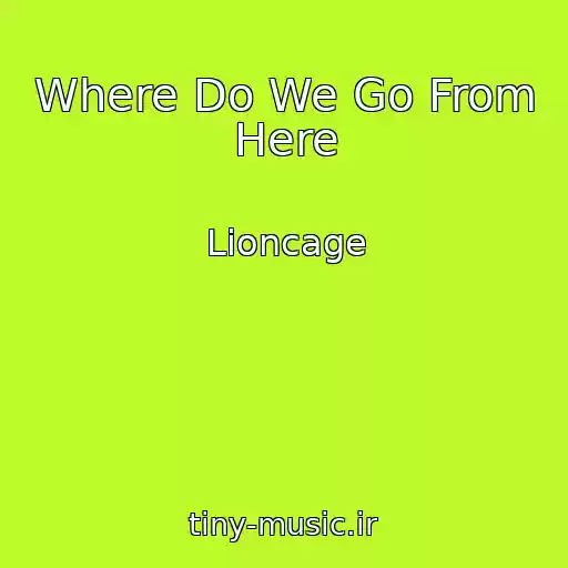کاور آهنگ Where Do We Go From Here از Lioncage