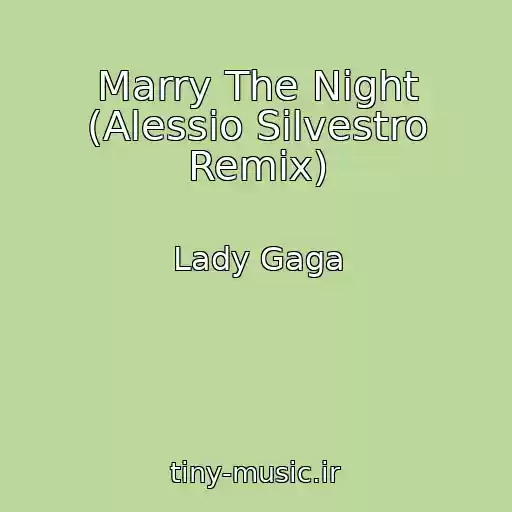 کاور آهنگ Marry The Night (Alessio Silvestro Remix) از Lady Gaga