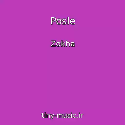 کاور آهنگ Posle از Zokha