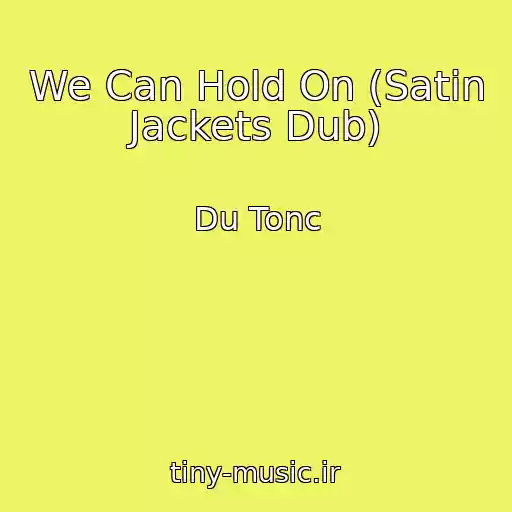 کاور آهنگ We Can Hold On (Satin Jackets Dub) از Du Tonc