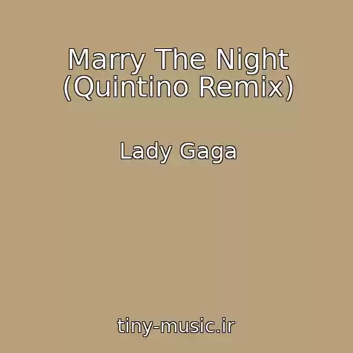 کاور آهنگ Marry The Night (Quintino Remix) از Lady Gaga