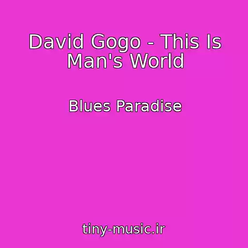 کاور آهنگ David Gogo - This Is Man's World از Blues Paradise
