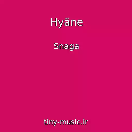 کاور آهنگ Hyäne از Snaga