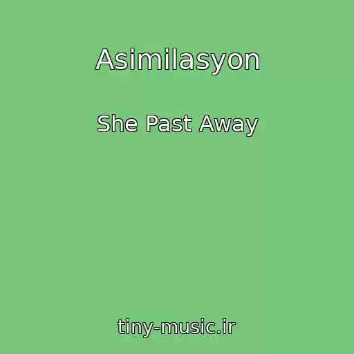 کاور آهنگ Asimilasyon از She Past Away
