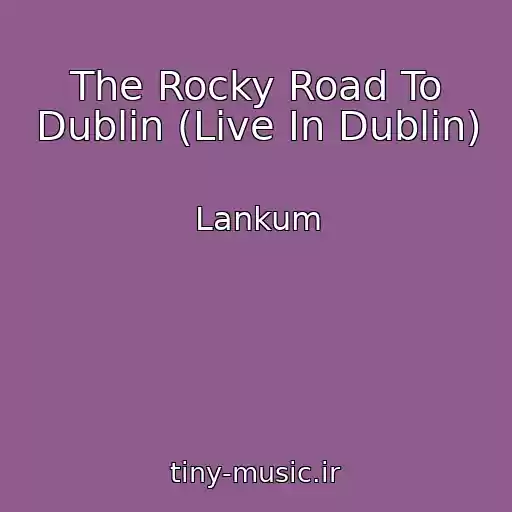 کاور آهنگ The Rocky Road To Dublin (Live In Dublin) از Lankum