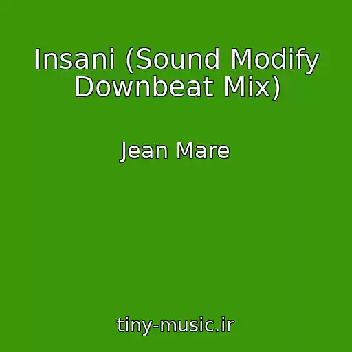 کاور آهنگ Insani (Sound Modify Downbeat Mix) از Jean Mare